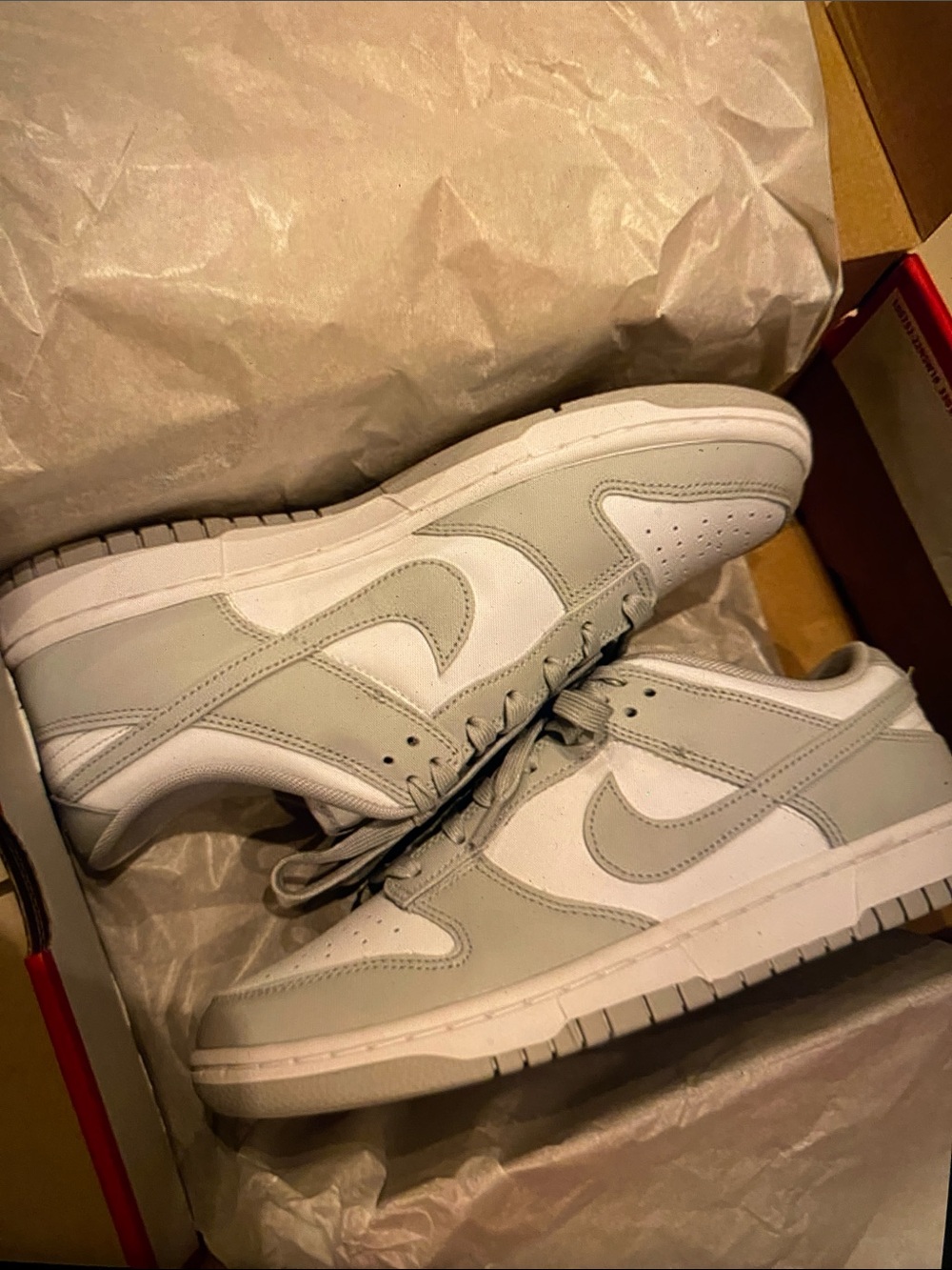 Nike Men’s Low-Top Sneakers in White and Light Gray